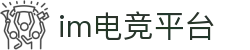 IM(股份有限公司)电竞-电子竞技平台